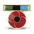 AOSM Greater Middle East Ribbon Poppy Lapel Pin